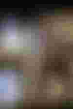 Elsa Dreisig (Juliette) und Amitai Pati (Roméo)