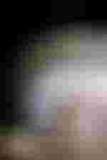 Sarah Defrise (Girl)