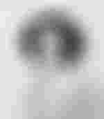 Portrait von Julia Schwamm