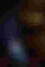 Christopher Maltman (Rigoletto), Nadine Sierra (Gilda), Elena Maximova (Maddalena) und Michael Fabiano (Herzog von Mantua)