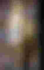 Paul-Antoine Bénos-Djian (Farnace), Ana Maria Labin (Aspasia)