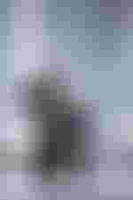 Jan Martiník (Altgesell) und Stuart Skelton (Laca Klemeň)