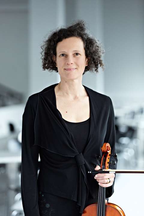 Viola