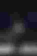 Evelyn Herlitzius (Elektra)