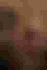 Sandrine Piau (Rosi Pflaum)