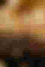 Gastspiel in Wien | 18. und 19. April 2026 Christian Thielemann, Julia Kleiter, Konstantin Krimmel, Staatskapelle Berlin