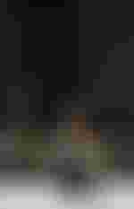 Evelyn Herlitzius (Elektra) und Waltraud Meier (Klytämnestra)