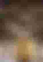 Anna Netrebko (Abigaille), Ensemble und Chor