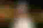Lenz
