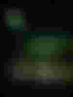 Ensemble, Sandra Laagus, Gyula Orendt, Ensemble