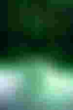 Vida Miknevičiūtė (Elsa von Brabant)