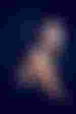 Katarina Bradić | Das kalte Herz ab 11. Januar 2026