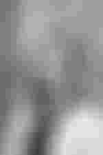 Portrait von Hanna Schüßler