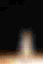 Anna Prohaska (Ilia)