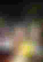 Siyabonga Maqungo (Henry Morosus), Brenda Rae (Aminta), Peter Rose (Sir Morosus), Ensemble