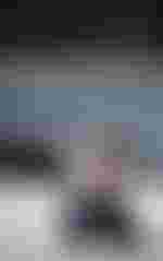 Evelyn Herlitzius (Elektra)