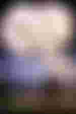 Victoria Randem (Alida), Arttu Kataja (Asleik)