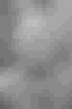 Portrait von Claudius Siebel