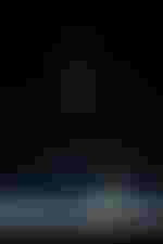 Vera-Lotte Boecker (Daphne)