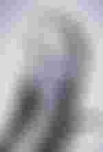 Saskia Josephine Lehm