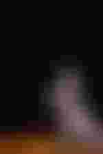 Olga Peretyatko (Elettra)