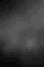 Samuel Hasselhorn I Uraufführung Das kalte Herz am 11. Januar 2026 Staatsoper Unter den Linden