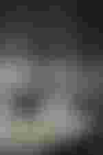 Evelyn Herlitzius (Die Küsterin Buryjovka)