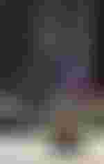 Evelyn Herlitzius (Elektra) und Waltraud Meier (Klytämnestra)