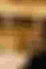 Gastspiel in Wien | 18. und 19. April 2026 Christian Thielemann, Julia Kleiter, Konstantin Krimmel, Staatskapelle Berlin