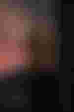 Philippe Jaroussky (Valouchka)