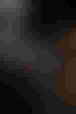 Tanja Ariane Baumgartner (Angèle Esther)