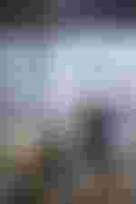 Camilla Nylund (Jenůfa) und Stuart Skelton (Laca Klemeň)