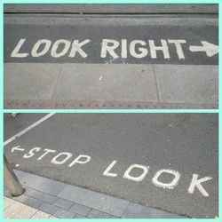 Svetlana_Petrovic_1MYP