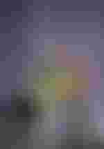 Tómas Tómasson (Klingsor), Anja Kampe (Kundry)