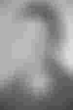 Portrait von Olav Frederichs