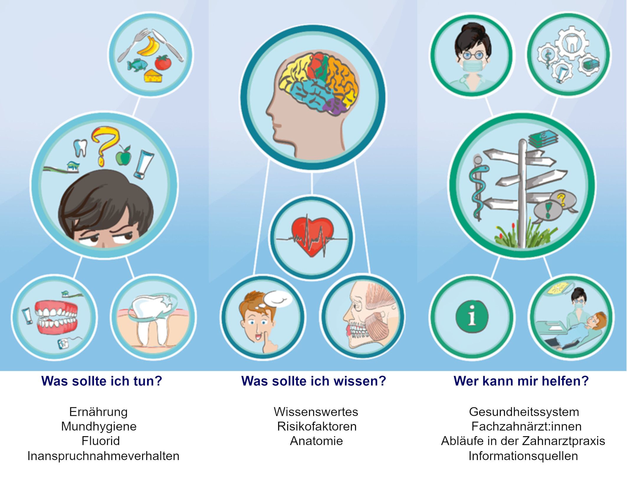 Drei Säulen der MuMi-App: 1. Was soll ich tun? Ernährung, Mundhygiene, Flourid, Inanspruchnahmeverhalten. 2. Was soll ich wissen? Wissenswertes, Risikofaktoren, Anatomie. 3. Wer kann mir helfen? Gesundheitssystem, Fachzahnärzt:innen, Abläufe in der Zahnarztpraxis, Informationsquellen.