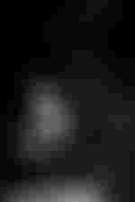 Nadine Koutcher (Violetta Valéry, 25. & 27. Dez 2015)