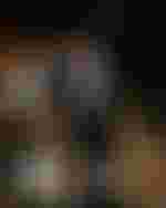 Gastspiel in Hamburg | 31. Januar 2026 | Elbphilharmonie  Christian Thielemann