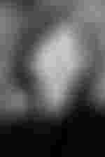 Portrait von Frauke Muth