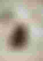 Colin Lee als GRAF ALMAVIVA und Jennifer Rivera als ROSINA