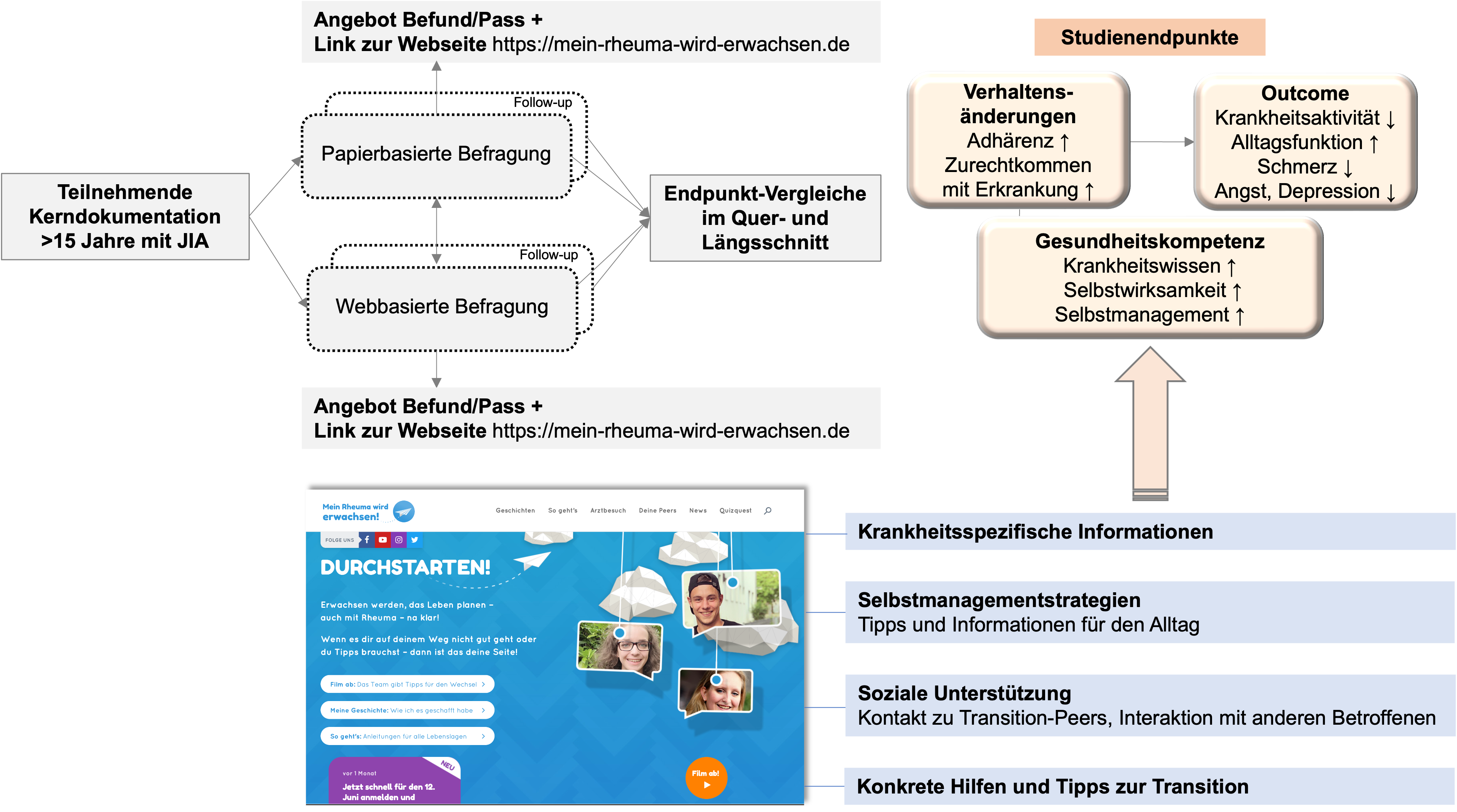 Abbildung stellt das konzeptionelle Modell der Studie dar. Eine ausführliche Beschreibung der Grafik finden Sie unter dem Link, der auf die Grafik folgt.