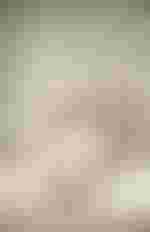 Jennifer Rivera als ROSINA