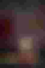 Julian Prégardien (Tamino)