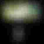 Anja Kampe (FLORIA TOSCA)