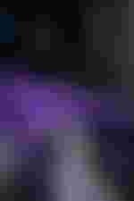 Das Kleine Haus ist zurück!