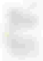 Titelbild Patienteninformation Genehmigung eines langfristigen Heilmittelbedarfs