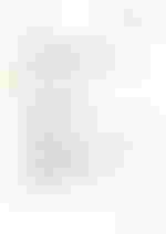 Titelbild Versicherteninformation Darmkrebs-Screening