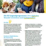 Bild zur Publikation Factsheet zu Digitaler Wandel