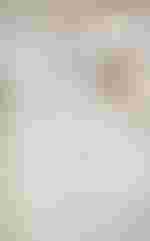 Jennifer Rivera als ROSINA