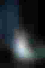 Vida Miknevičiūtė (Elsa von Brabant)